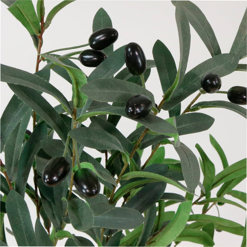Olive Spray (100cm)