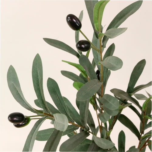 Olive Spray (85cm)