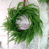 Real Touch Weeping Norfolk Pine Wreath 60cm