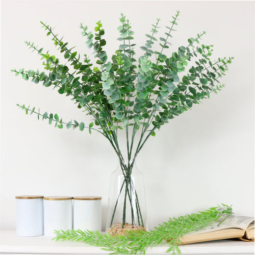 Tall Eucalyptus Stem