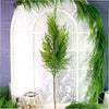 REAL TOUCH 100CM NORFOLK PINE SPRAY