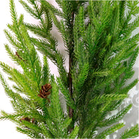 REAL TOUCH 100CM NORFOLK PINE SPRAY