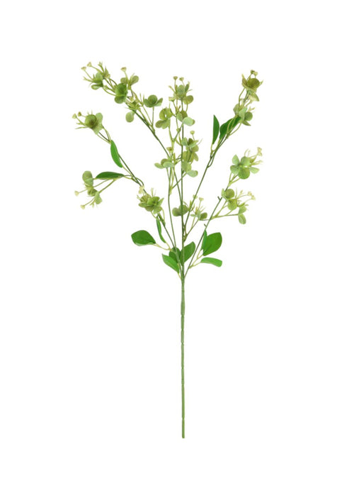 Florence Spray