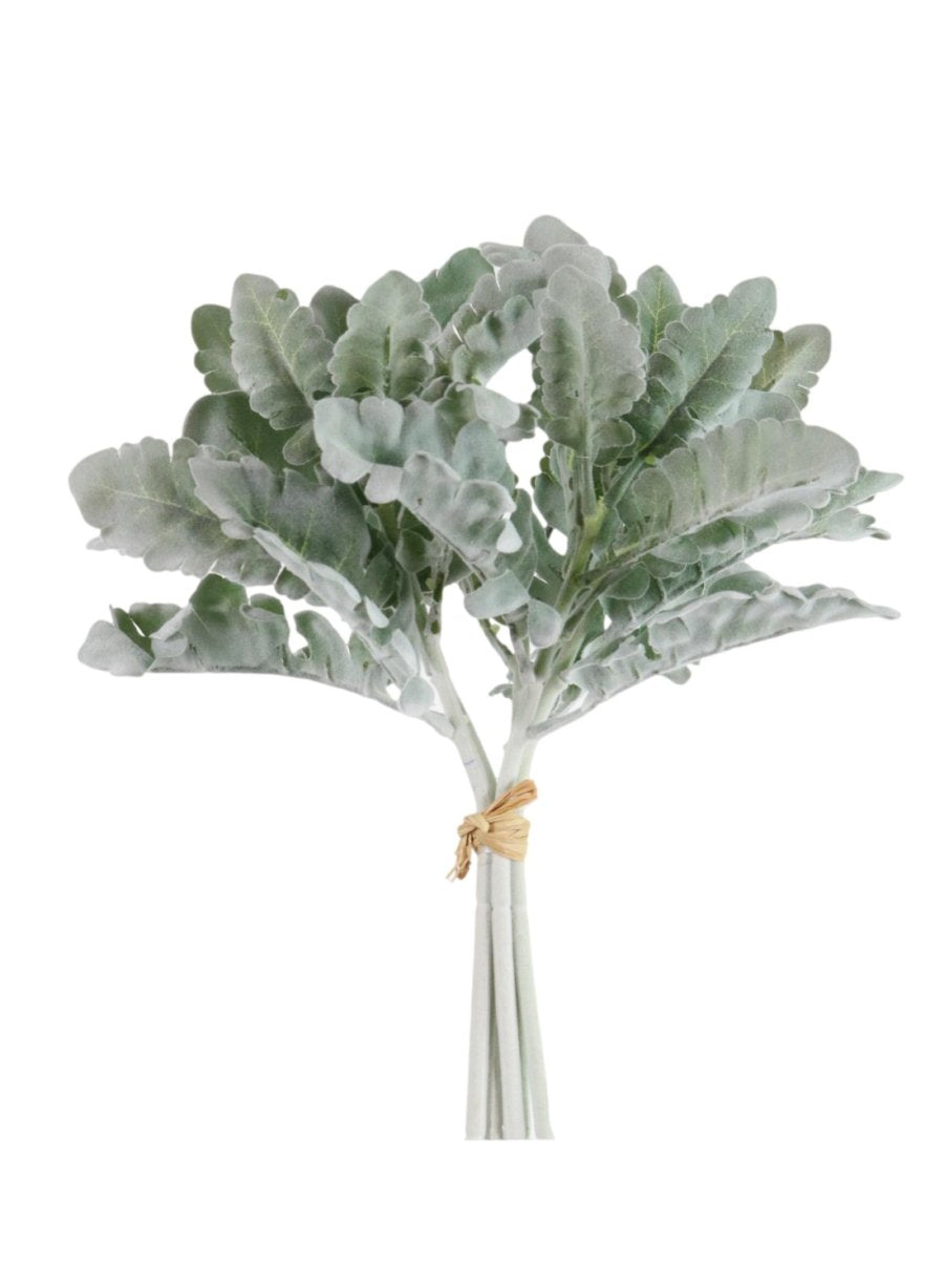 Flocked Cineraria Silver Handtie (5 stems)