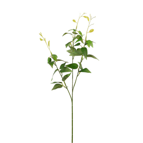 Clematis Leaf Spray