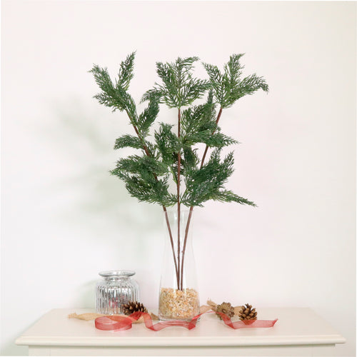 Xmas Spruce Pic No:05