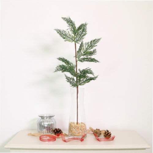 Xmas Spruce Pic No:05
