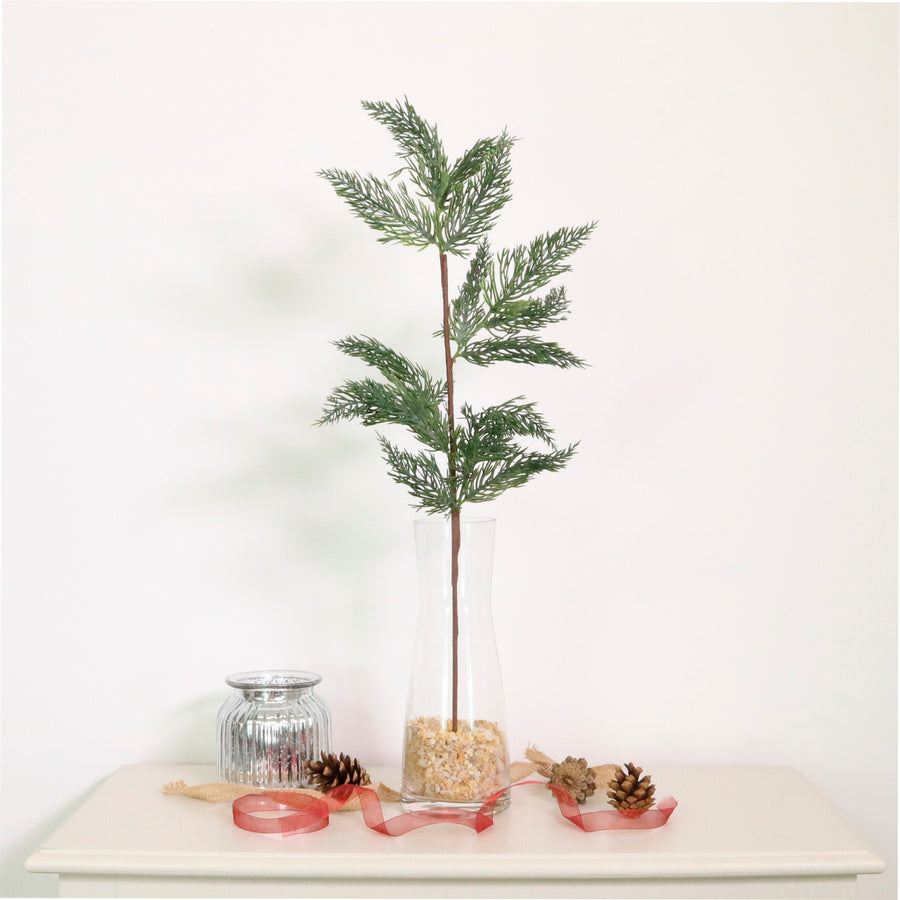 Xmas Spruce Pic No:05