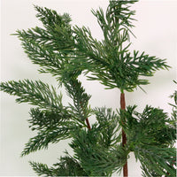 Xmas Spruce Pic No:05