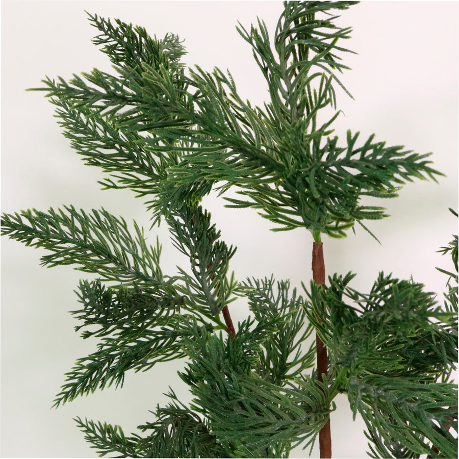 Xmas Spruce Pic No:05