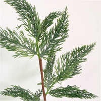 Xmas Spruce Pic No:05