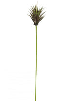 Little Jewel Succulent (long Stem)