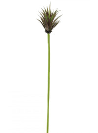 Little Jewel Succulent (long Stem)