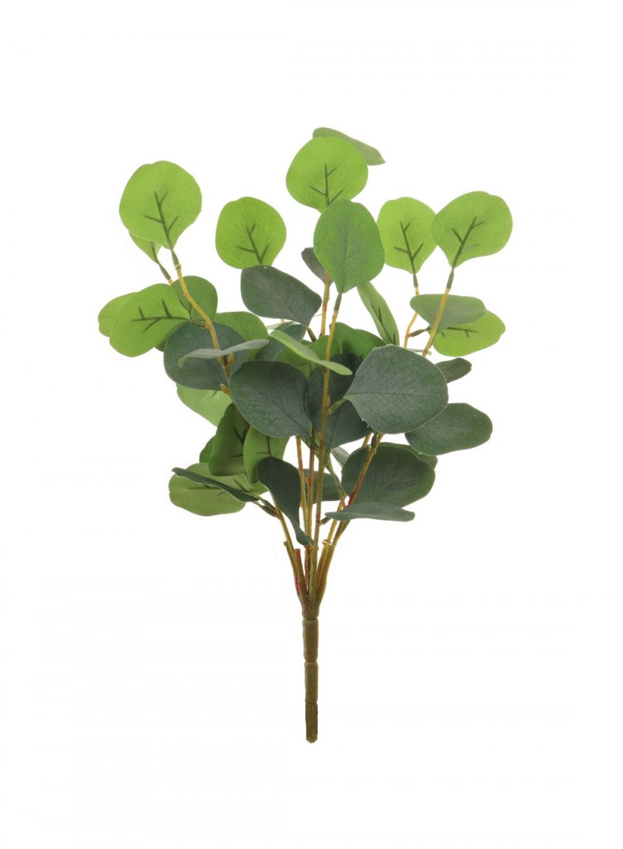 Silver Dollar Eucalyptus Bunch (small)
