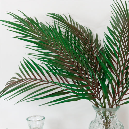 Palm Leaf Spray