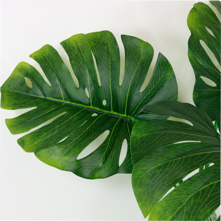 Monstera Stem (medium)