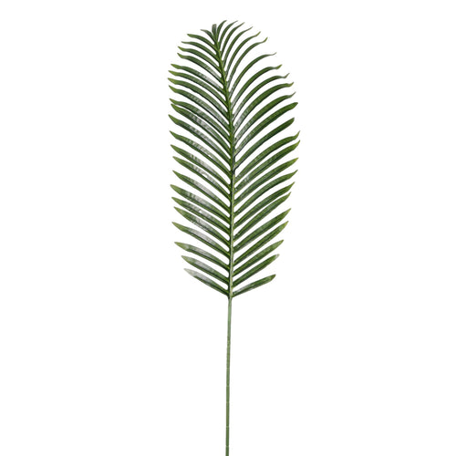 Tropical Fern Leaf (107cm)
