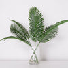 Tropical Fern Leaf (107cm)