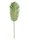 Tropical Fern Leaf (107cm)