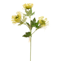 Protea Spray