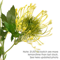 Protea Spray