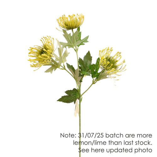 Protea Spray