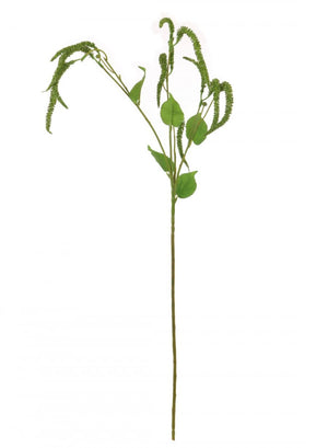 Catkin Spray