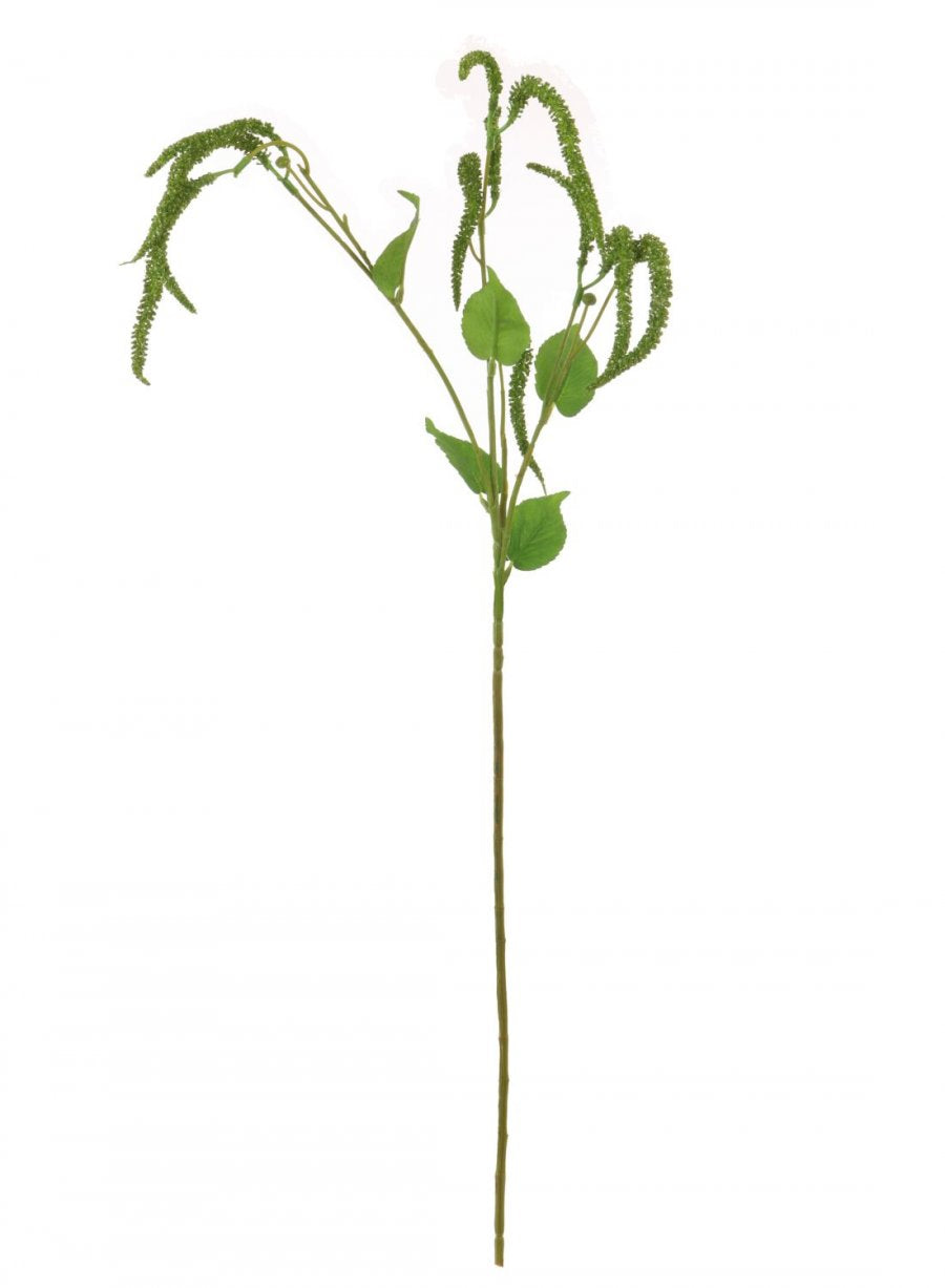 Catkin Spray
