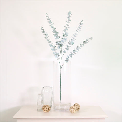 Eucalyptus (dusted)
