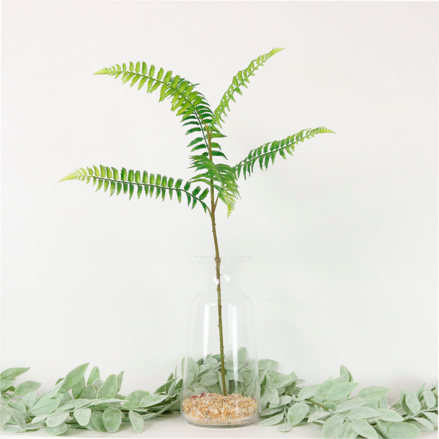 Ostrich Fern Spray
