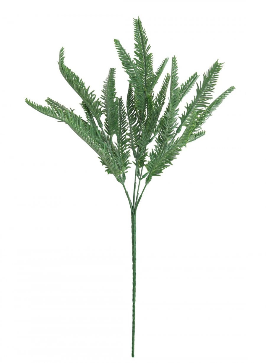 Sword Fern Bunch