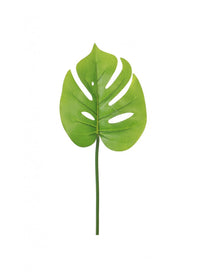 Monstera Stem (mini)