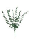 Cinerea Eucalyptus Bunch
