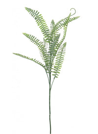 Royal Fern Spray (dusted)