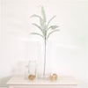 Royal Fern Spray (dusted)