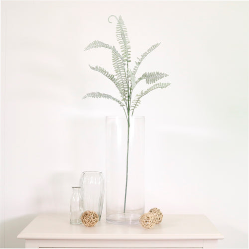 Royal Fern Spray (dusted)