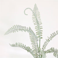 Royal Fern Spray (dusted)