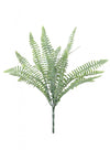 Royal Fern Bunch (dusted)