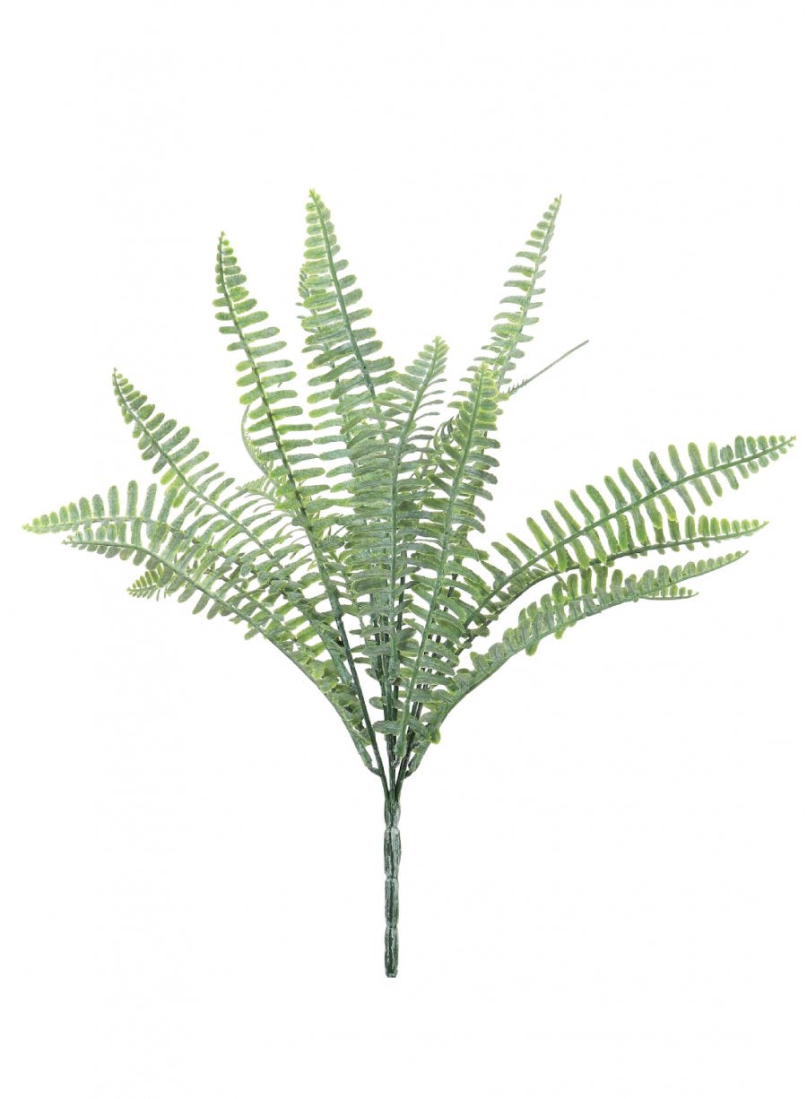 Royal Fern Bunch (dusted)