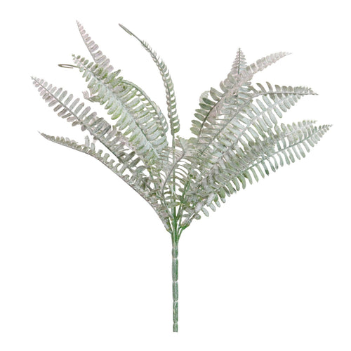Royal Fern Bunch (dusted)