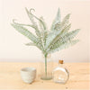 Royal Fern Bunch (dusted)