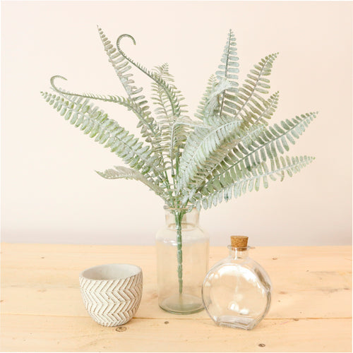 Royal Fern Bunch (dusted)