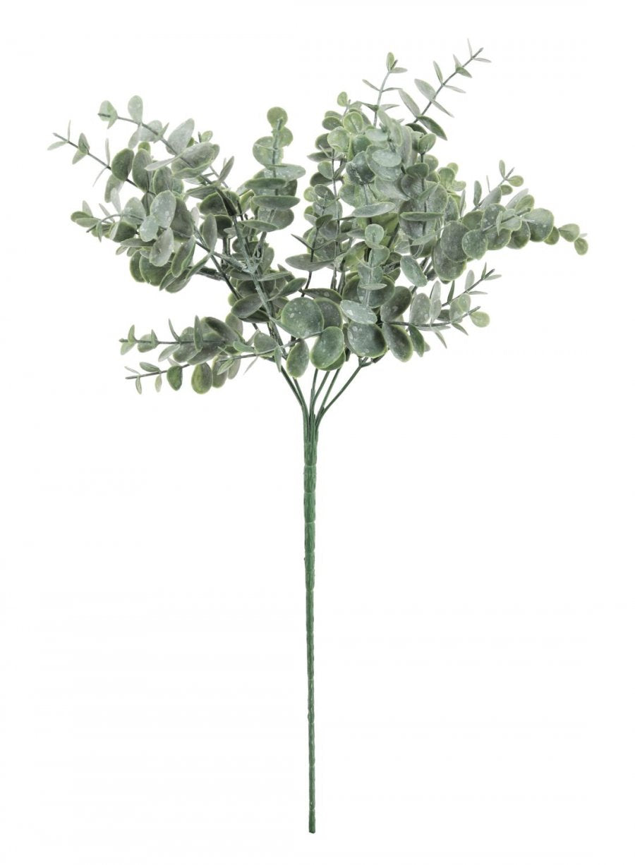 Gunni Eucalyptus Stem - Lotus Imports Limited – Lotus Imports Ltd