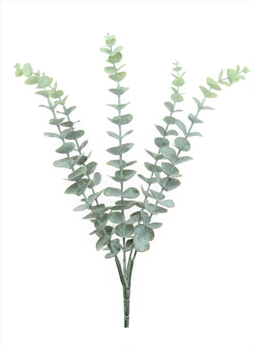 Eucalyptus Bunch (dusted)
