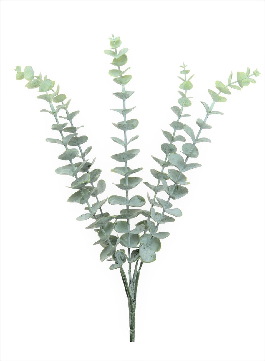 Eucalyptus Bunch (dusted)