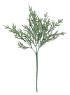 Fir Bunch (long Stem)