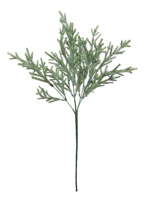 Fir Bunch (long Stem)