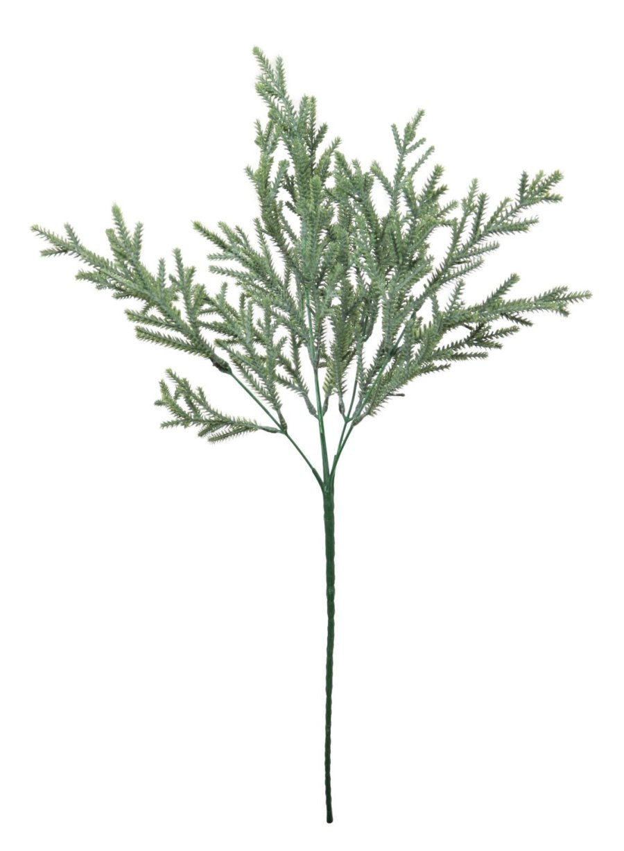 Fir Bunch (long Stem)