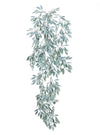 Trailing Spikey Leaf (dusted)