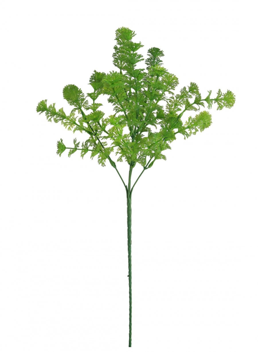 Mini Globe Fern Bunch